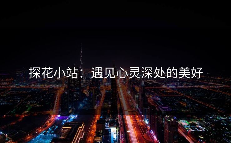 探花小站：遇见心灵深处的美好