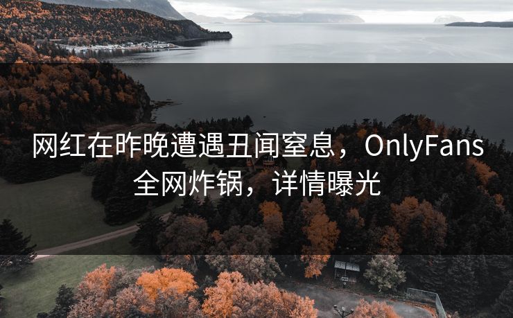 网红在昨晚遭遇丑闻窒息，OnlyFans全网炸锅，详情曝光